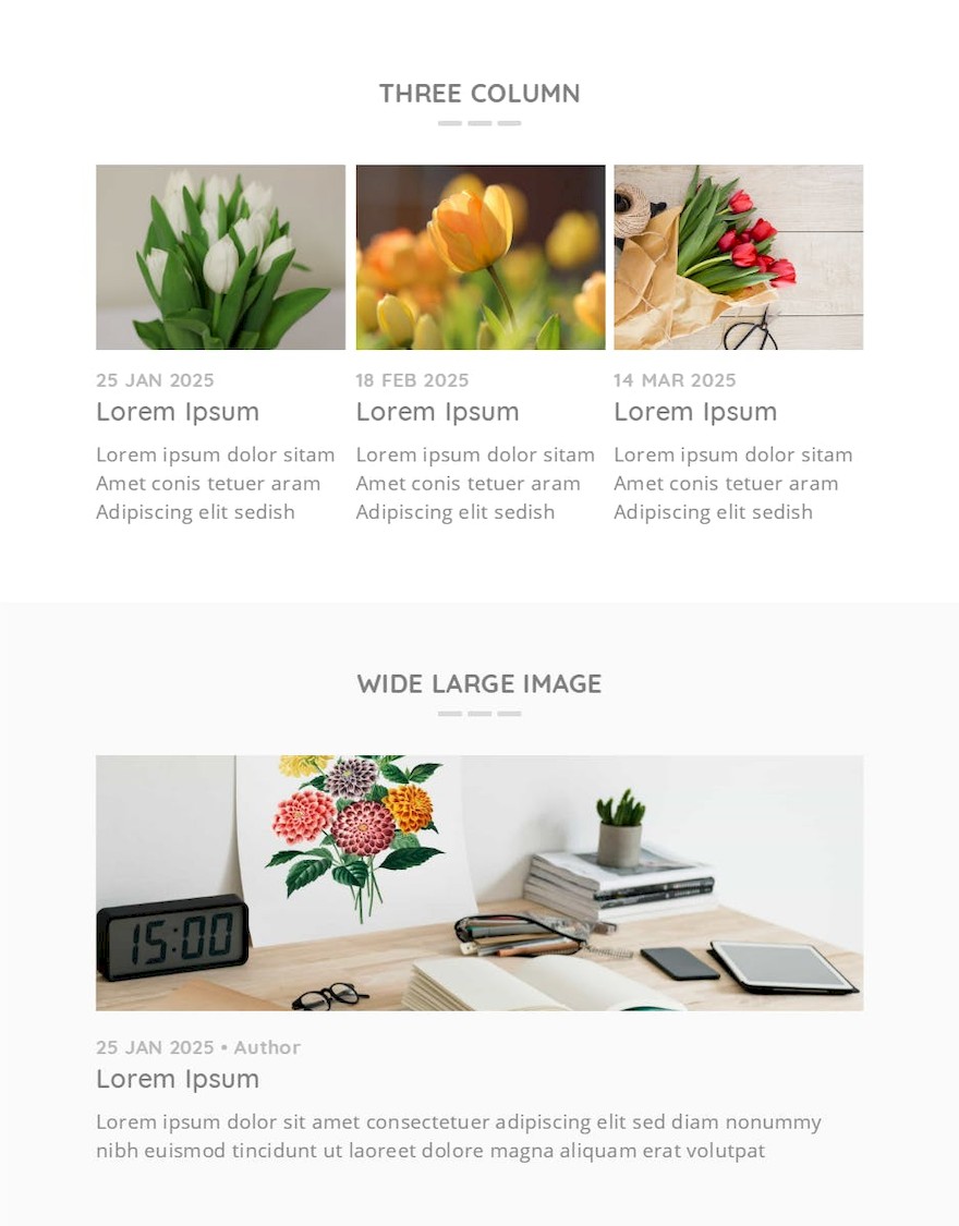 Fritz Responsive Multipurpose Email Template-7.jpg