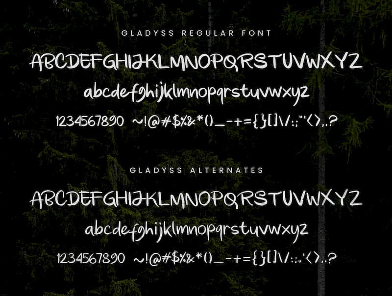 482394 Gladyss Font 6.jpg