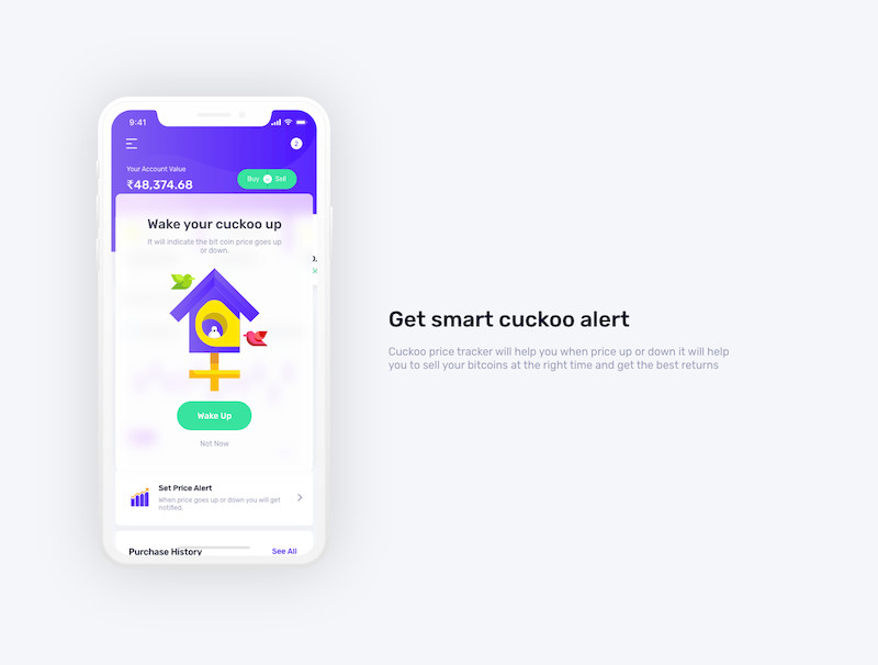482426 Bit Cuckoo UI Kit 7.jpg