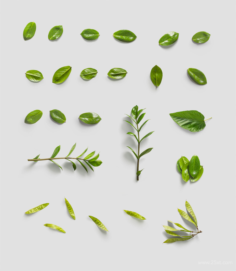 Environment #5.jpg