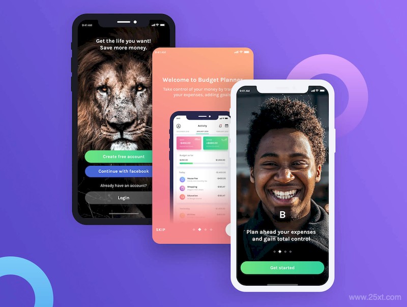 Budget Planner Mobile UI Kit 2.0-4.jpg