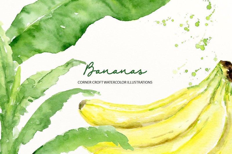 Watercolor Banana Illustration-1.jpg