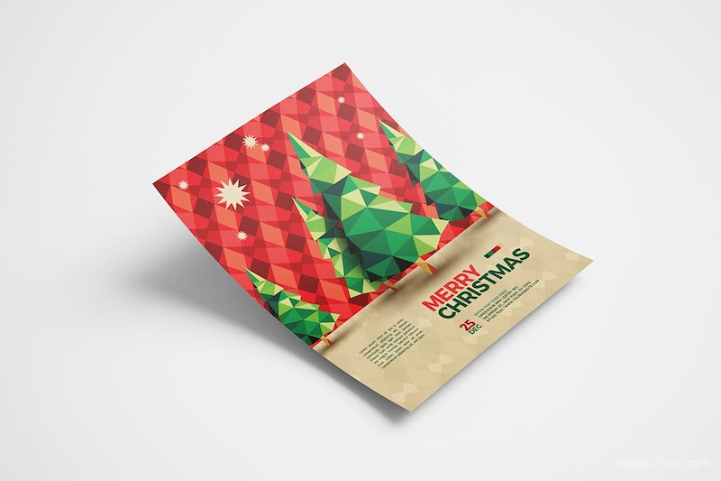 Cool Pattern Christmas Flyer-2.jpg