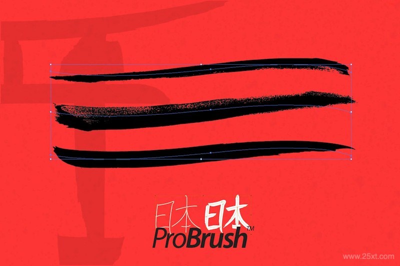 Japan ProBrush-2.jpg