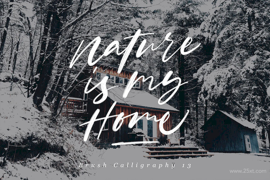  Procreate Brush Calligraphy 6.jpg