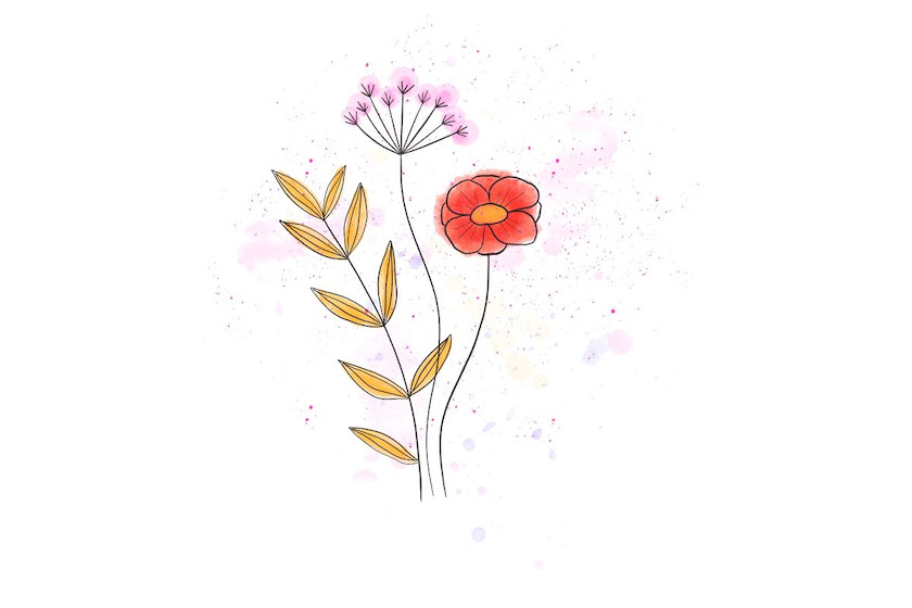 Splatter & Speckle Procreate Brushes 12.jpg
