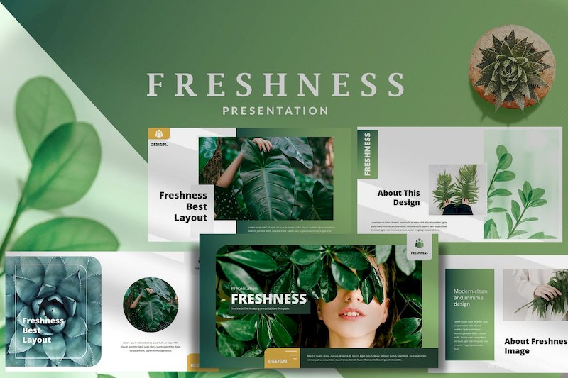 Freshness Modern - Powerpoint Template-4.jpg