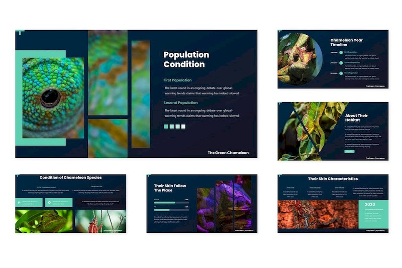 Faunazone - Keynote Template-1.jpg