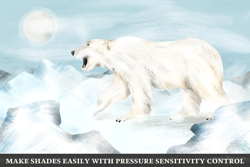 Arctic Dry Brushes for Procreate 6.jpg