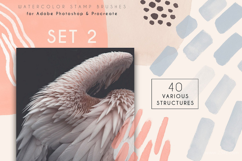 Clarity- Photoshop Brushes 4.jpg