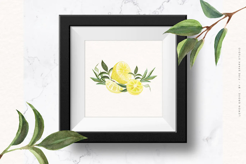 Lemon Grove Watercolor Illustrations 8.jpg