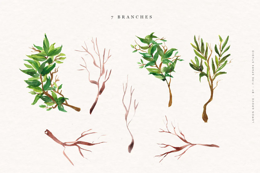 Lemon Grove Watercolor Illustrations 3.jpg
