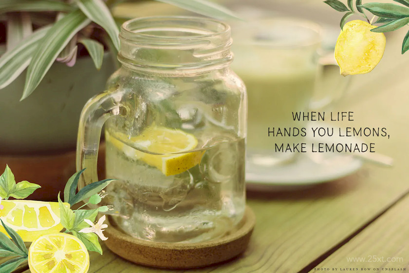 Lemon Grove Watercolor Illustrations 5.jpg