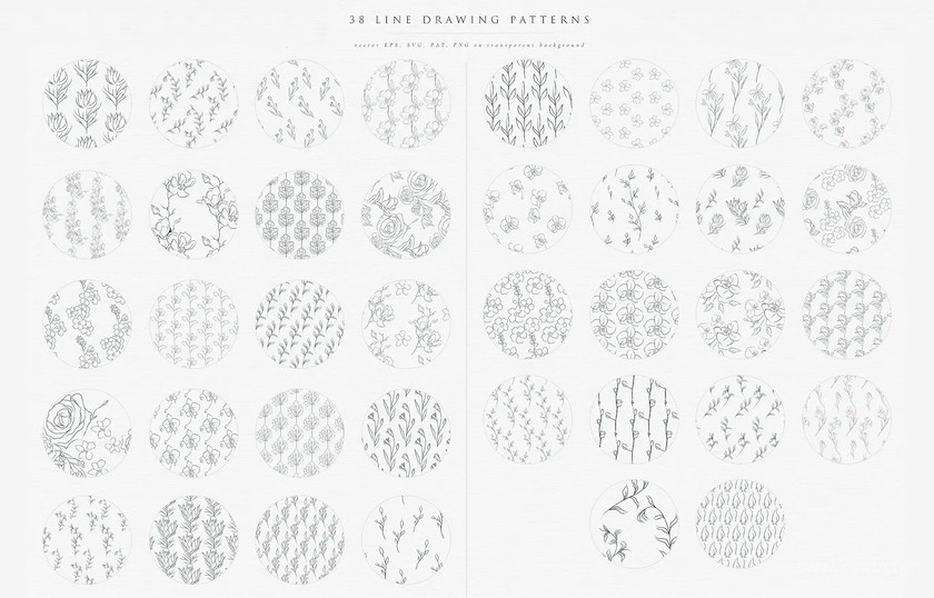 Line Drowing Floral Patterns 1.jpg