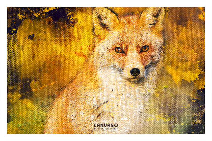 483390 Canvaso Photoshop Action 8.jpg