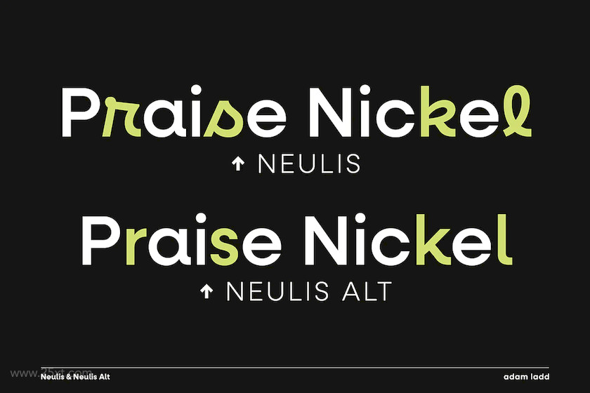 25xt-483803 Neulis Font Family 4.jpg