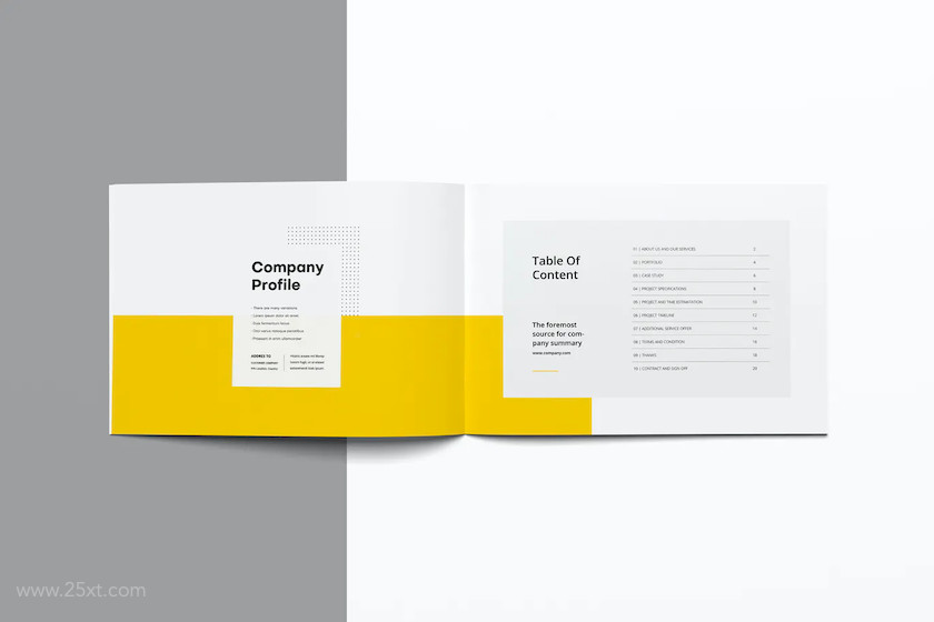 25xt-483833 Company Profile 2020 Landscape9.jpg