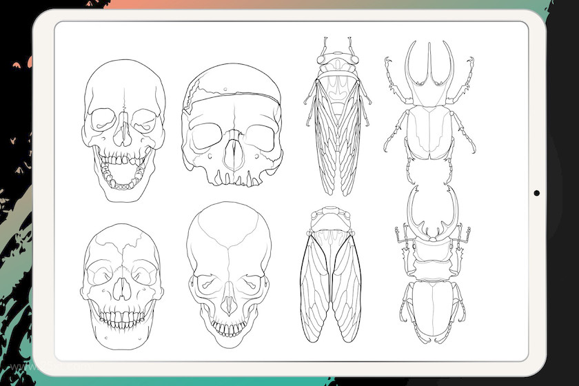 25xt-483842 Procreate - Tattoo Basic Stencil Set3.jpeg