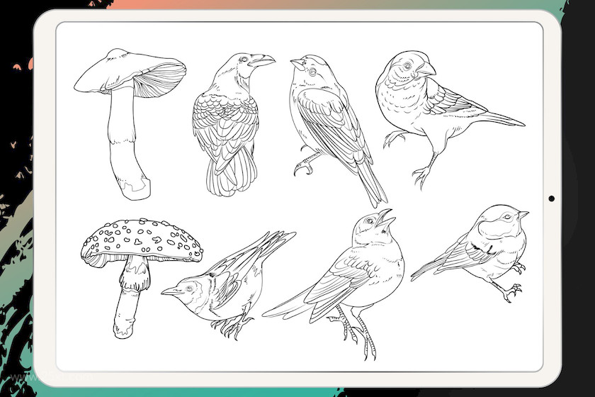 25xt-483842 Procreate - Tattoo Basic Stencil Set7.jpeg