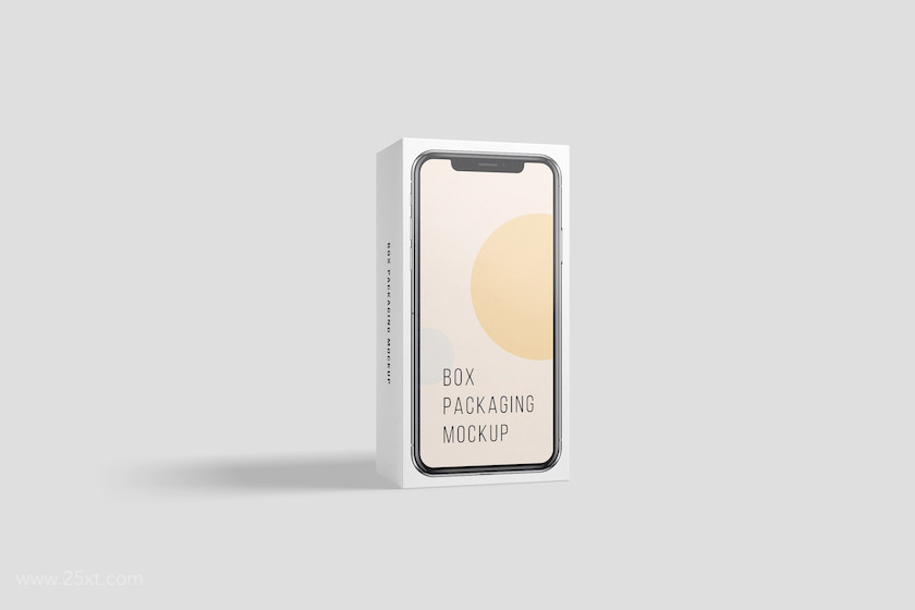 25xt-483853 Box Packaging Mockup9.jpg