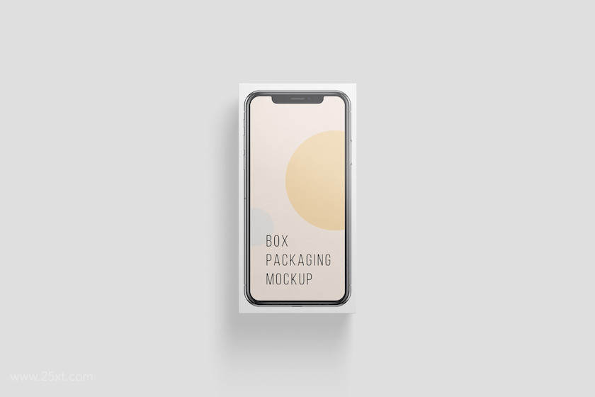 25xt-483853 Box Packaging Mockup11.jpg