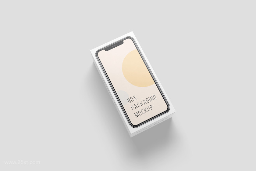 25xt-483853 Box Packaging Mockup7.jpg