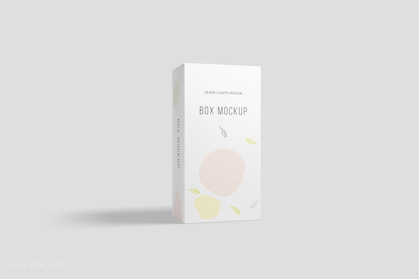 25xt-483853 Box Packaging Mockup6.jpg