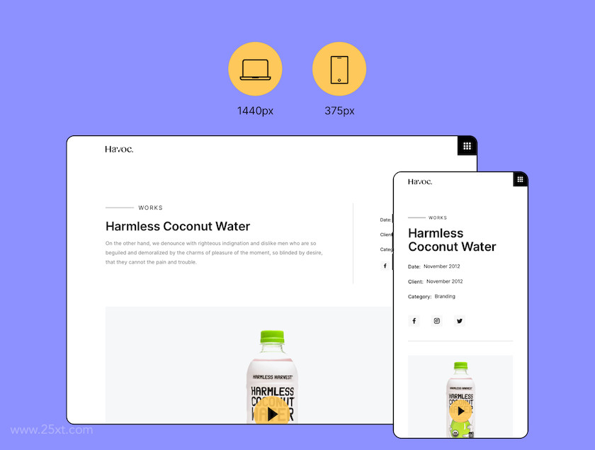 25xt-483987 Havoc Agency UI Kit3.jpg