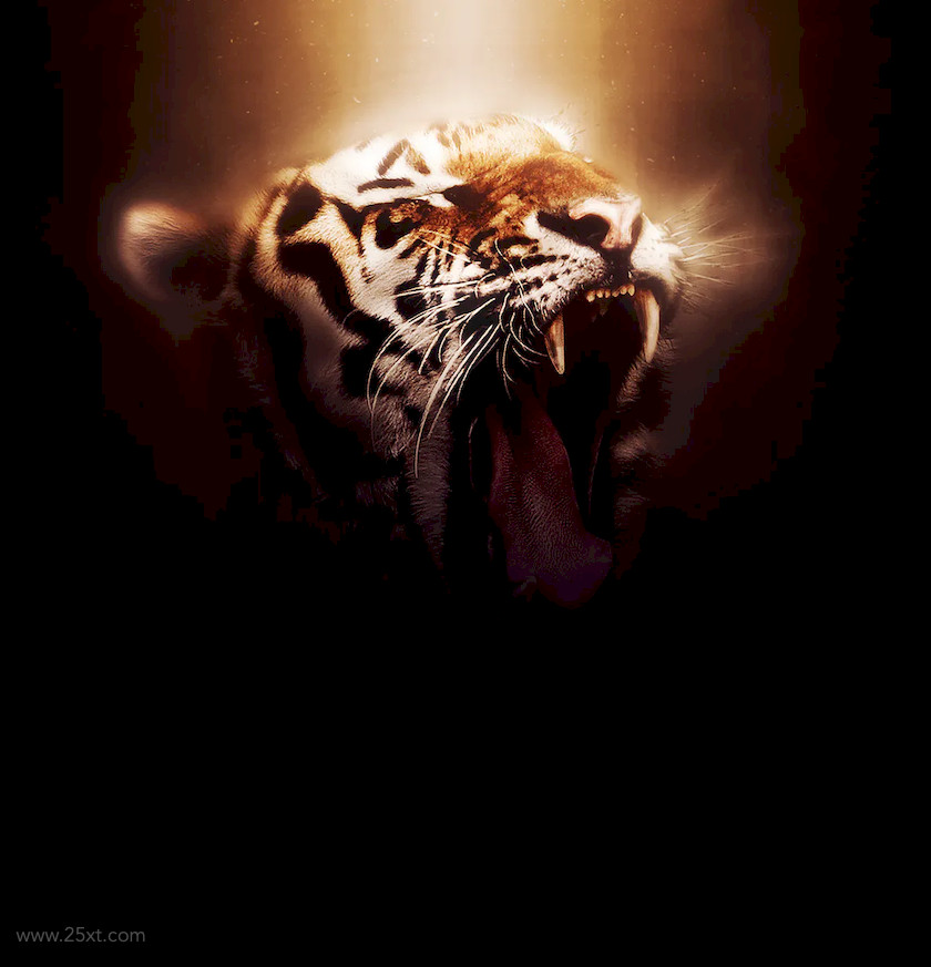 25xt-484081 Dark Fantasy Photoshop Action5.jpg