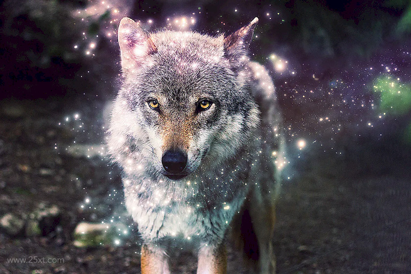 25xt-484083 MagicDust Photoshop Action3.jpg