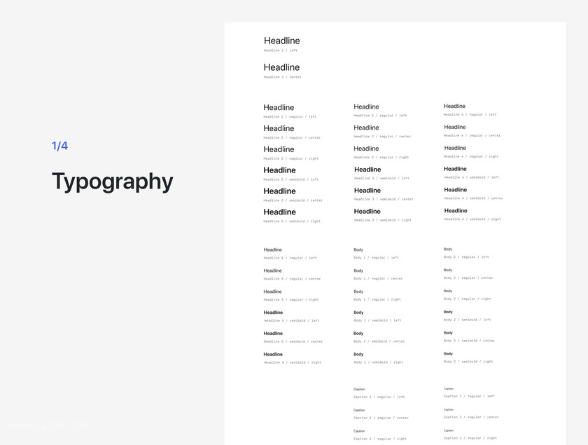 25xt-484315 Design System Starter Kit3.jpg