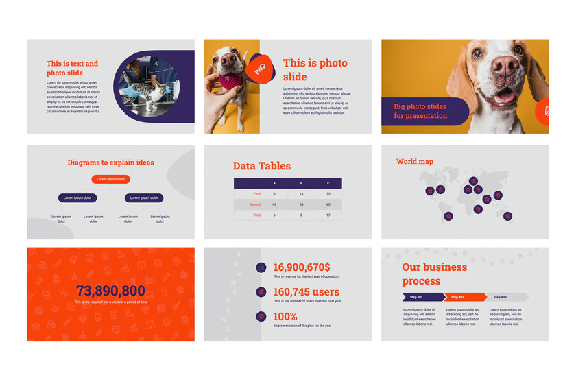25xt-484320 Pets and Veterinary Clinic Template 3.jpg