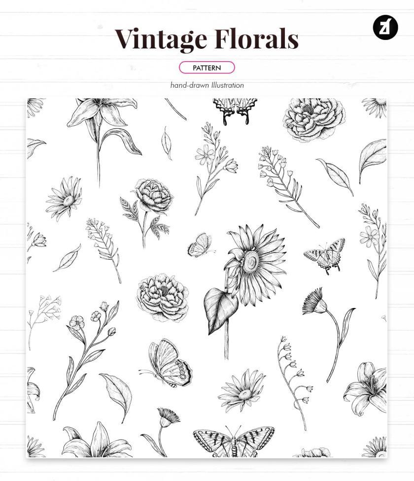 25xt-484426 Floral vintage illustration border and pattern	3.jpg