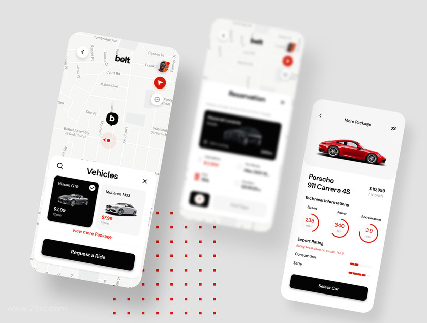 25xt-484437 Belt App UI kit5.jpg