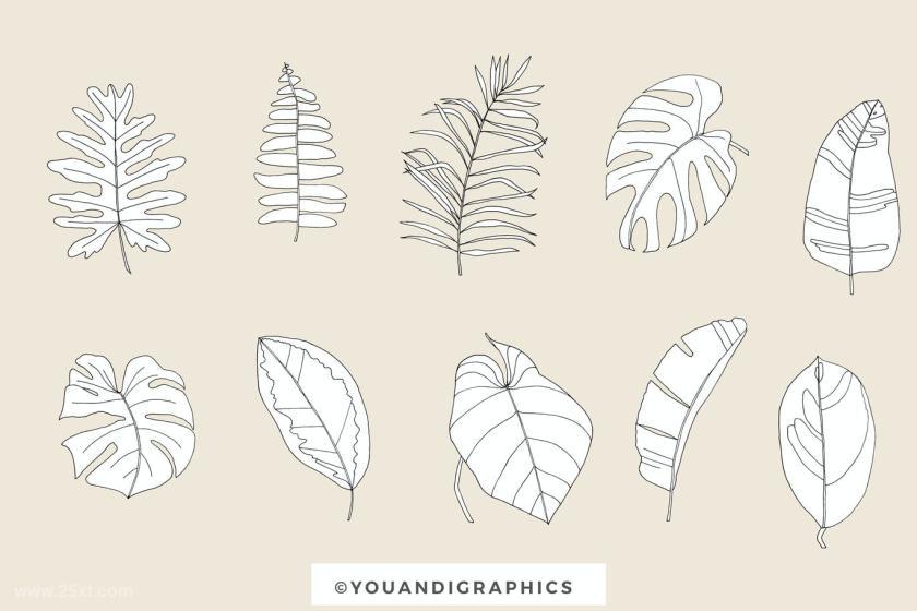 25xt-484464 Big Leaves - Tropical Patterns	13.jpg