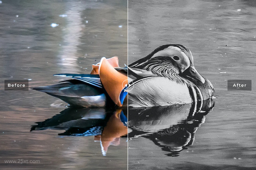 25xt-710213 Birds & Wings Mobile & Desktop Lightroom Presets5.jpg