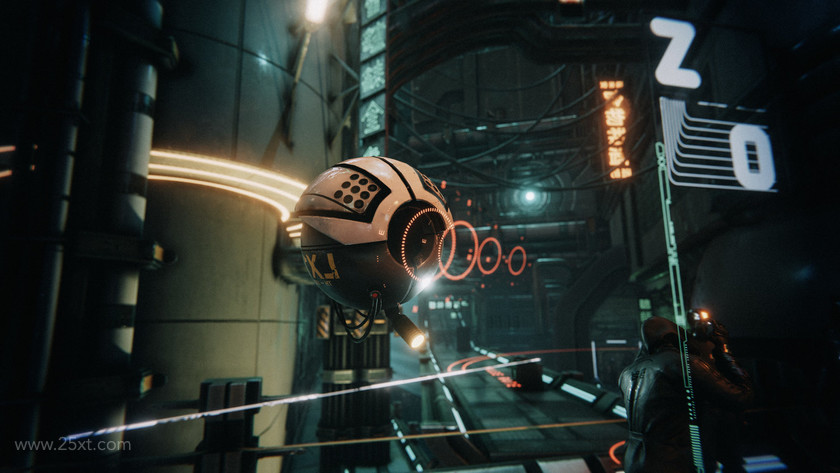 25xt-484776 The Hunt - Cyberpunk Pack 12.jpg