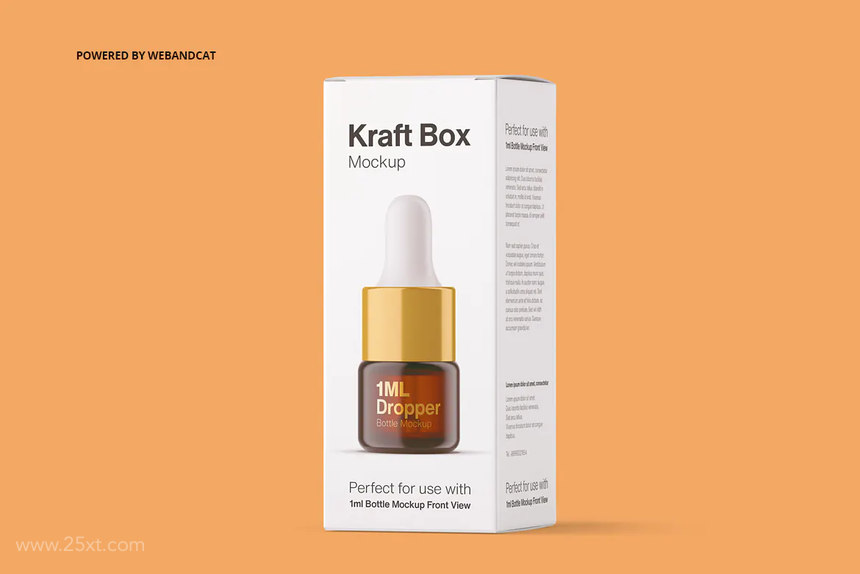 25xt-160782 KraftPaperBoxMockupforperBottle 1.jpg