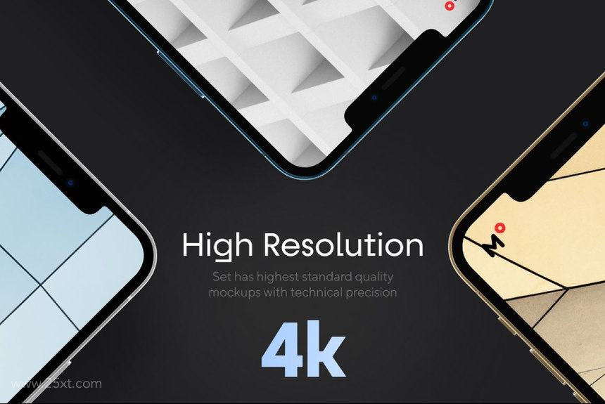 25xt-485089 iPhone 12 Pro Max Mockups 4.jpg