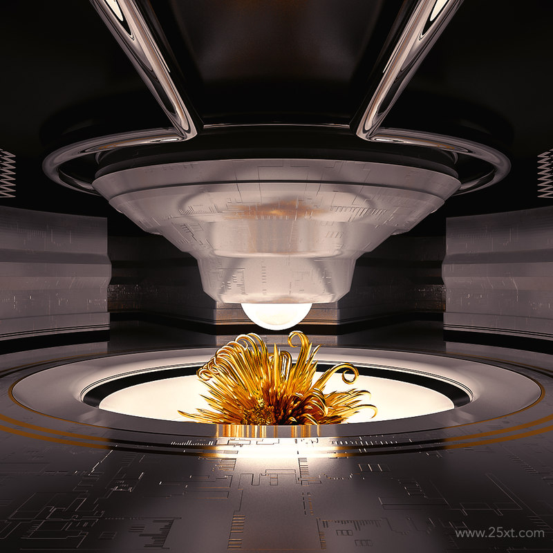 25xt-485096 The French Monkey Cinema4D  Project4.jpg