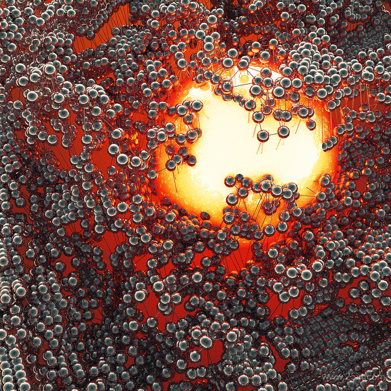 25xt-485096 The French Monkey Cinema4D  Project19.jpg