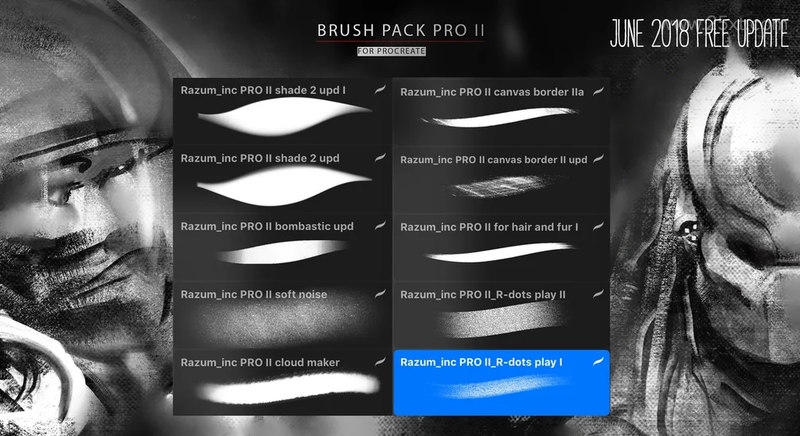 25xt-485112 BRUSH PACK PRO II for PROCREATE 5 2.jpg