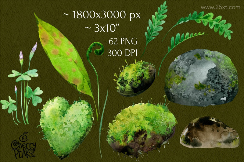 25xt-485165-Watercolor cliparts of mushrooms and herbs individual PNG6.jpeg