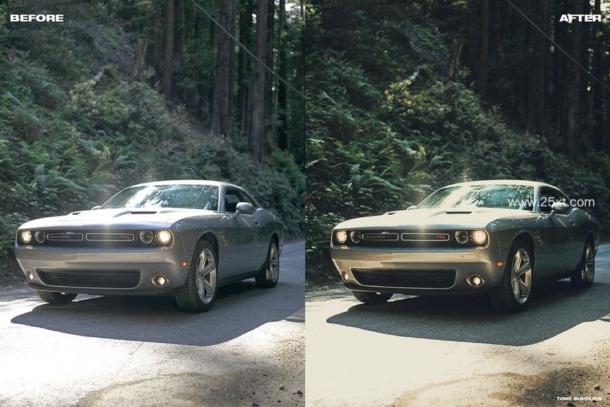 25xt-485555-90's Vintage LUT Presets Photoshop8.jpg