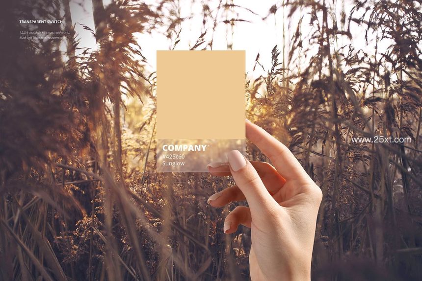 25xt-485614-Color Match Mockup Set9.jpg