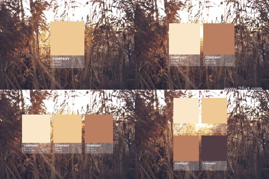 25xt-485614-Color Match Mockup Set10.jpg