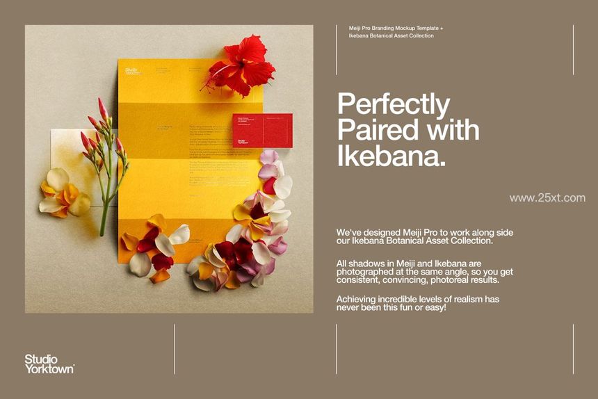 25xt-485718-Meiji Pro Branding Mockup Template19.jpg