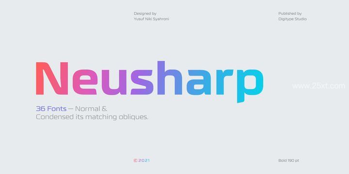 25xt-485727-Neusharp Font Family3.jpg