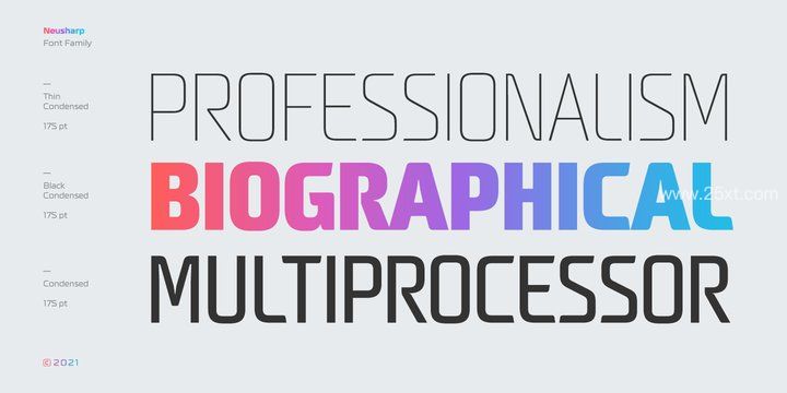 25xt-485727-Neusharp Font Family9.jpg