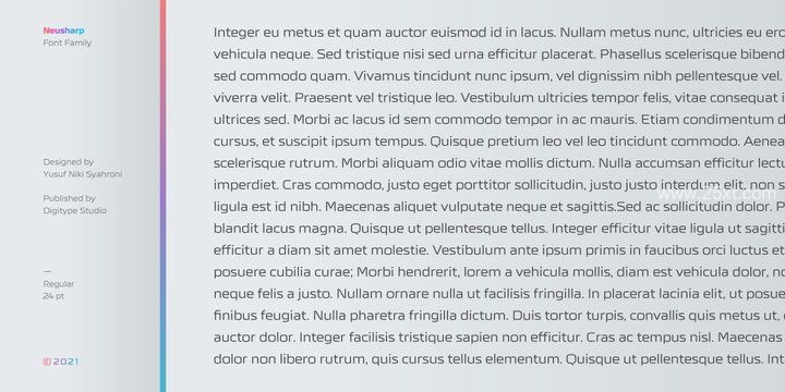 25xt-485727-Neusharp Font Family11.jpg